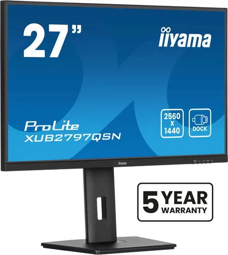 Монитор IIYAMA IPS 27'' 16:9 2560х1440(WQHD) IPS, 30cd/m2, 1300:1 (XUB2797QSN-B2)